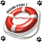 tartinex1