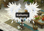 Kaliumy