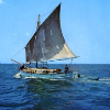 Tipovi tradicionalnih brodova 4-82