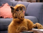 ALF