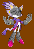 Blaze the cat