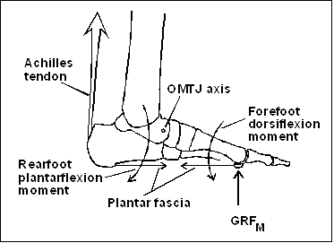 foot  drow