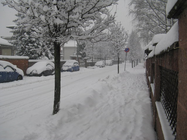 neve 6 gennaio 2009