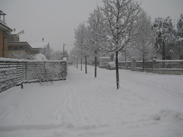 neve 6 gennaio 2009