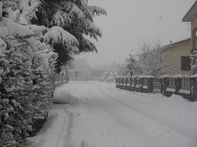 neve 6 gennaio 2009