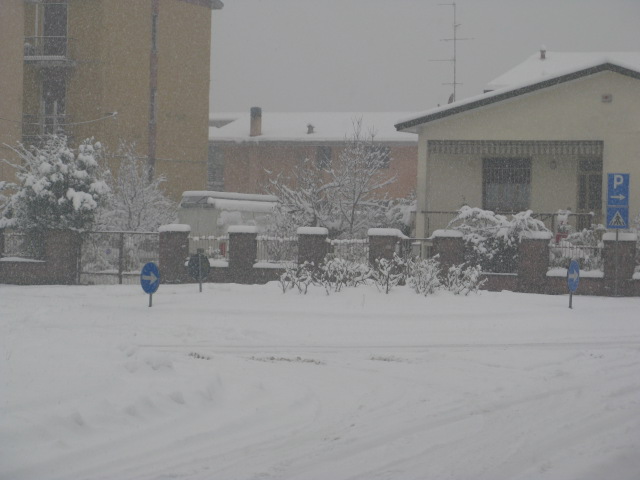 neve 6 gennaio 2009