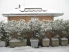 neve 6 gennaio 2009