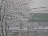 neve 6 gennaio 2009