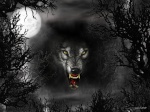 الذئب الشرس