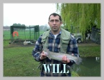 will