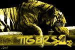 Asian Tiger 18