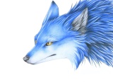 bluefox