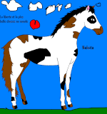 Horse2010