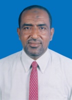 محمد حسن محمد