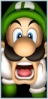 Dstates Luigi_11