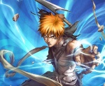 ichigokurosaki99