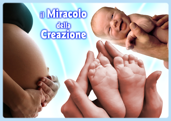 Il Miracolo della Creazione