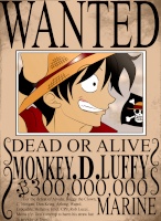 luffy2a