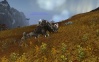 Fotos aus der WoW Welt Kodo10