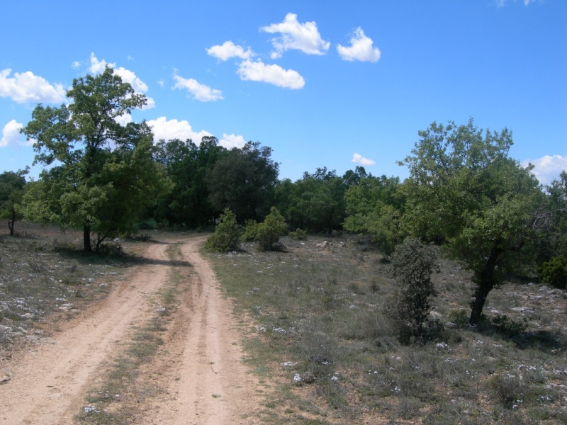 Linea Verde camino 1