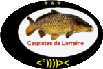 CARPISTE57530