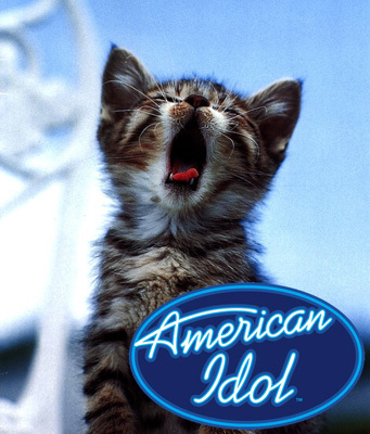 American Idol