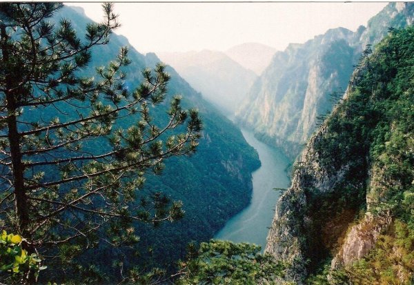 uzvodno drina od crnoga potoka