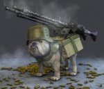 WarDoG