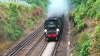 A still taken from my video: 34067 Tangmere on the Cathedrals Express, Victoria-Maidstone-Ashford-Hastings-Tonbridge-Victoria, between Borough Green and West Malling on a very blustery Tuesday 21st June 2011