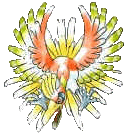 Ho-oH