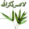 dr_ahmed