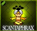 Scantaphrax