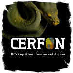 cerfon