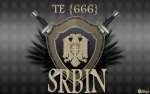 SRBIN