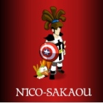 nico-sakaou