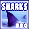 Avatars Sharks10