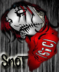 Sn0t