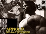 schwarzenegger79