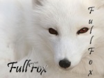 FullFox