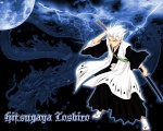 Hitsugaya.T