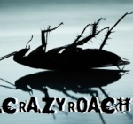 CrazyroacH