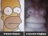 homer body