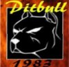pitbull1983