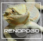 Renopogo