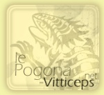 pogona31700