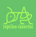 Reptiles-Insectes