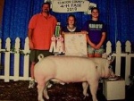 Ramsey Family Show Pigs