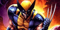 Wolverine