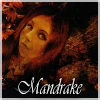 Mandrake