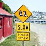 Slowpenguin